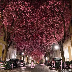 巨胸美女玩鸡巴
